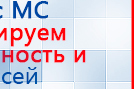 СКЭНАР-1-НТ (исполнение 02.1) Скэнар Про Плюс купить в Сургуте, Аппараты Скэнар купить в Сургуте, Медицинская техника - denasosteo.ru